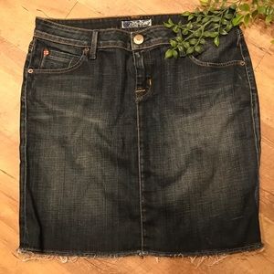 Hudson Jean Skirt 31